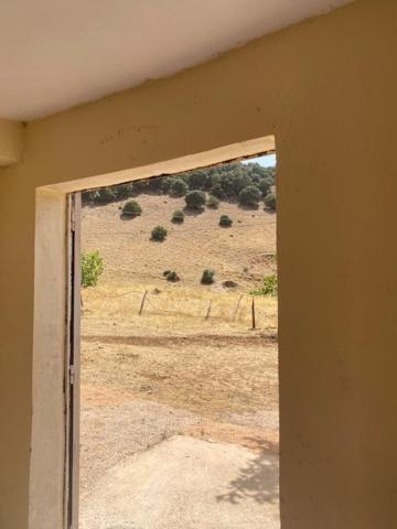 Gite Cedre Gouraud Hotel Azrou Buitenkant foto