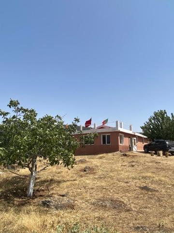 Gite Cedre Gouraud Hotel Azrou Buitenkant foto